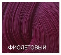 3103901 ФИОЛЕТОВЫЙ -  BOUTICLE EXPERT COLOR 100мл