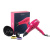 03-2010_Fuschia_7 03-2010_Fuschia_7